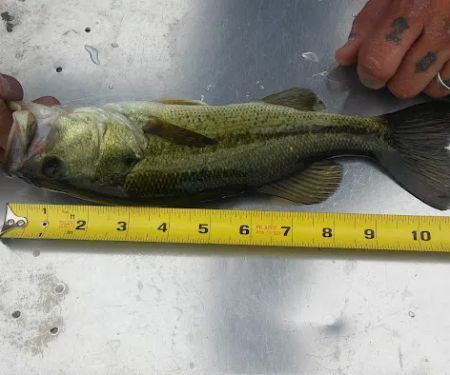 Leisure Time RV Park LLC