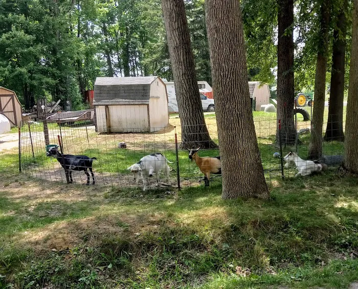 River Pines RV Park Campground Picture 4