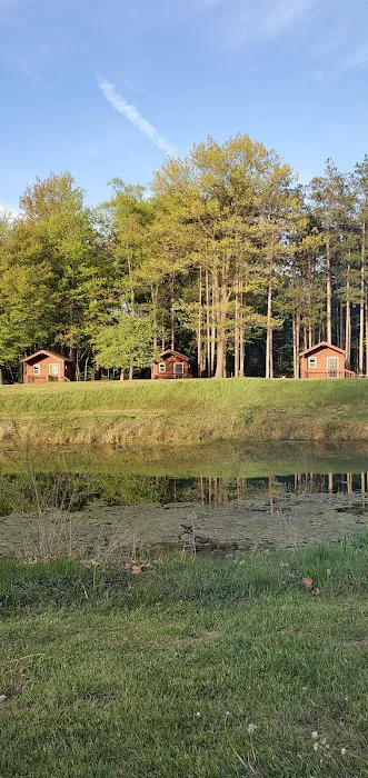 River Pines RV Park Campground Picture 6