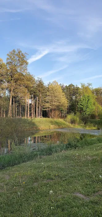 River Pines RV Park Campground Picture 7