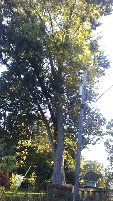 Tall Oaks Family Campground Picture 6