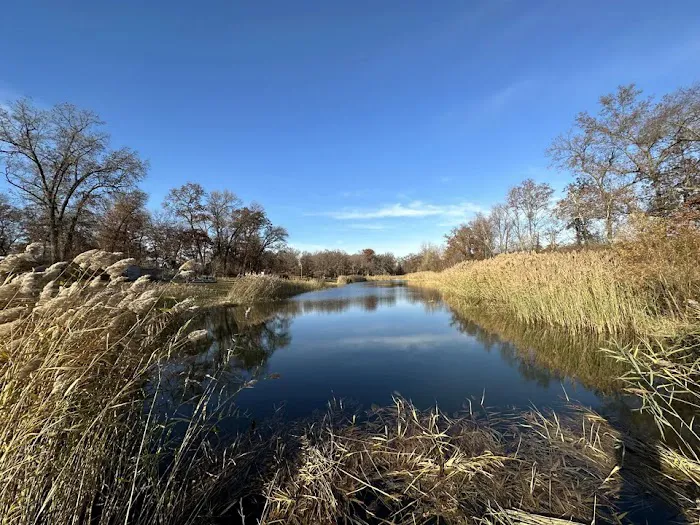 Leisure Time Oasis Campground Picture 9