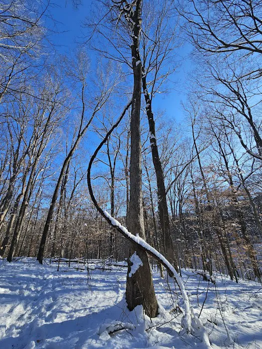 Scout Ridge Youth Campground Picture 2