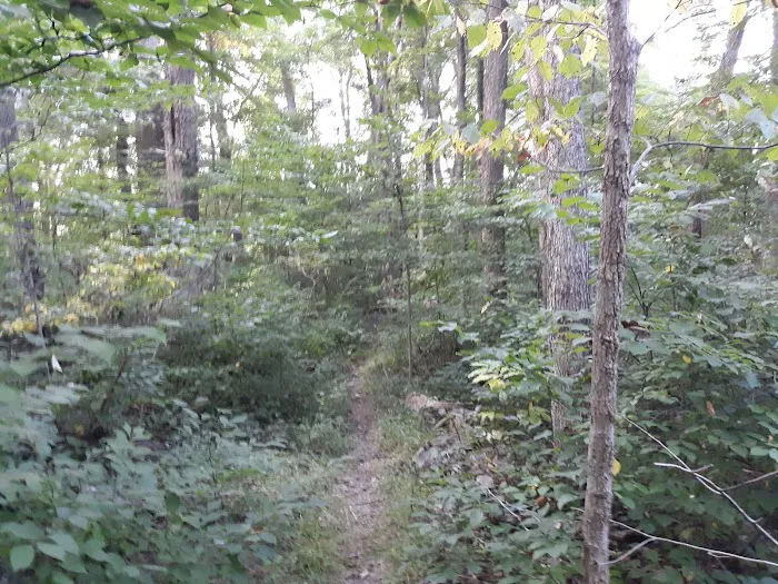 Scout Ridge Youth Campground Picture 9