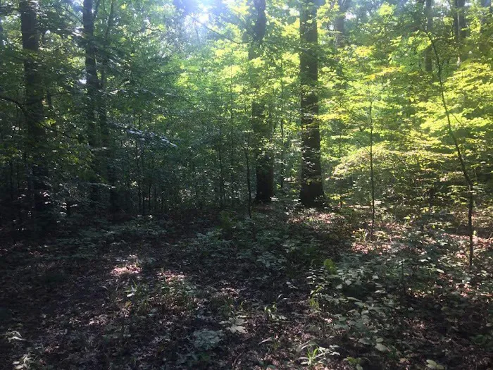 Scout Ridge Youth Campground Picture 7