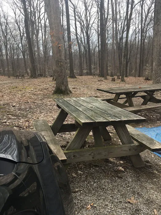 Scout Ridge Youth Campground Picture 8