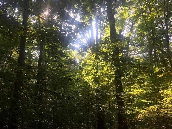 Scout Ridge Youth Campground Picture 6