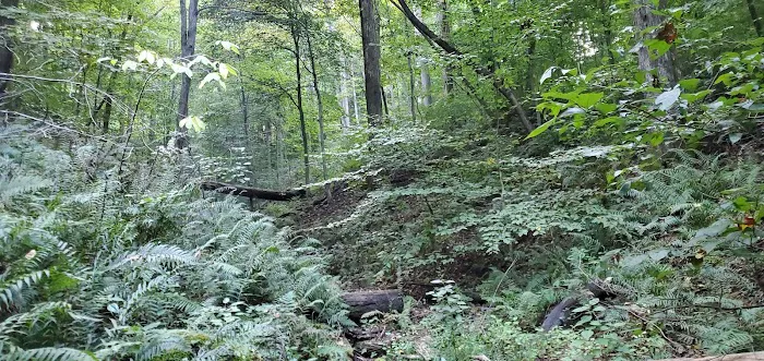 Scout Ridge Youth Campground Picture 10