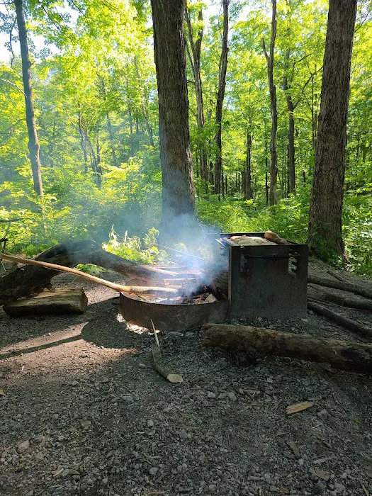 Mason Ridge Camping Area Picture 6