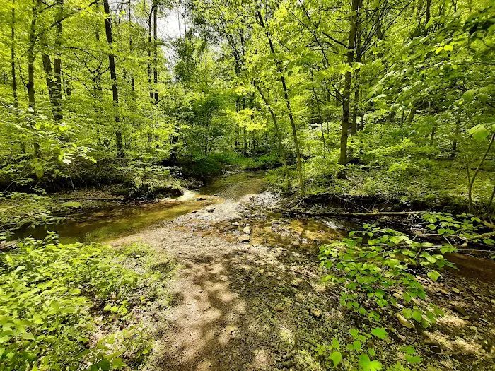 Mason Ridge Camping Area Picture 3