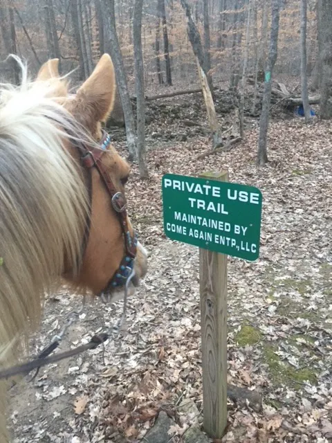 Come Again Horse Camp Picture 10