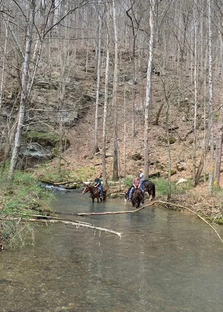 Come Again Horse Camp Picture 1