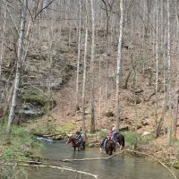 Come Again Horse Camp ico
