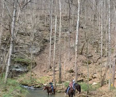 Come Again Horse Camp