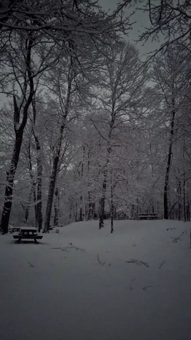 Old Mill Canoe Rental's Blue River Retreat- Primitive Camping Picture 5