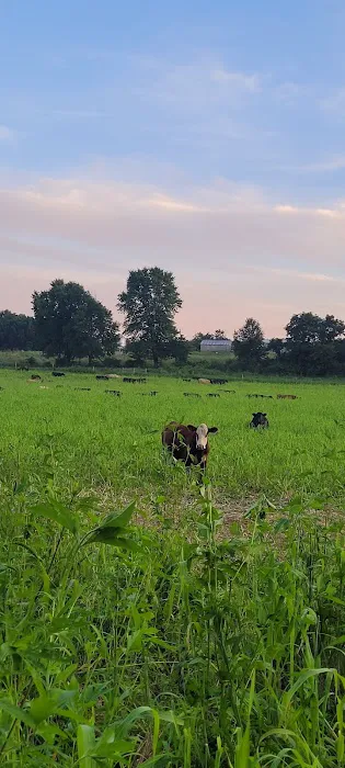 Recreation Unlimited Picture 3