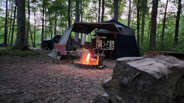 Yellowwood State Forest Camp Sites Picture 9