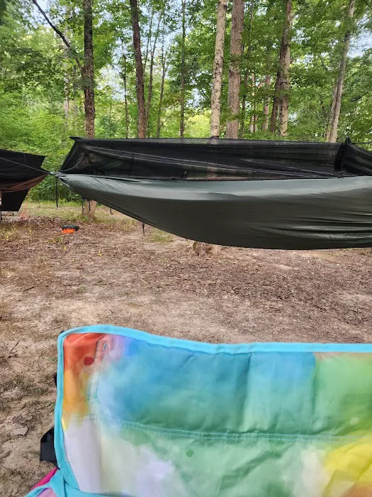 Yellowwood State Forest Camp Sites Picture 1