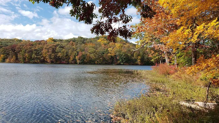 Yellowwood Campground Picture 10