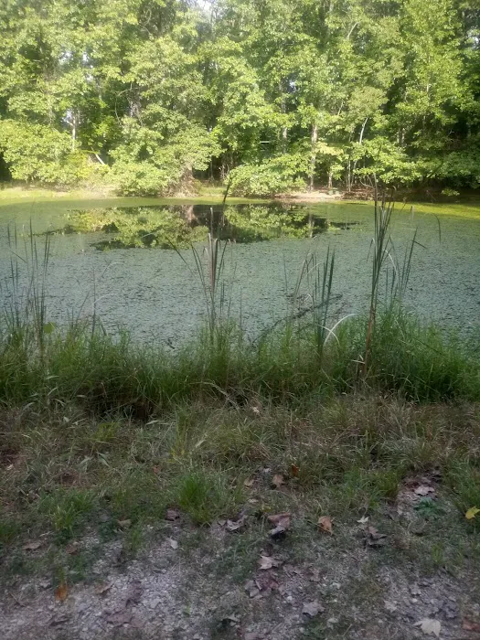White Oak Loop Picture 3