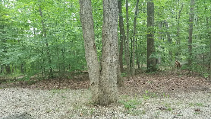 White Oak Loop Picture 10