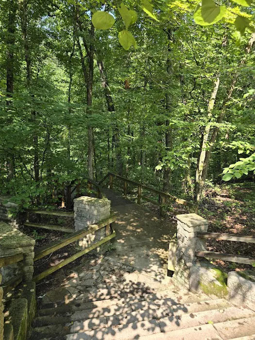 Campground Picture 9
