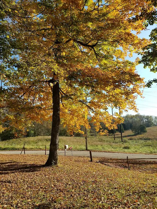 Camp Bedford Picture 4