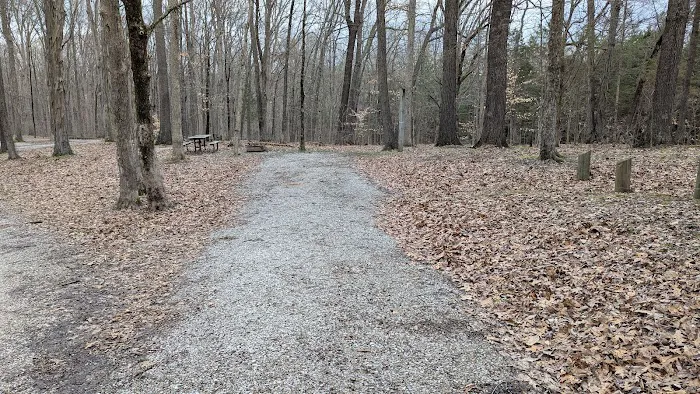 Hoosier National Forest Campground Picture 4