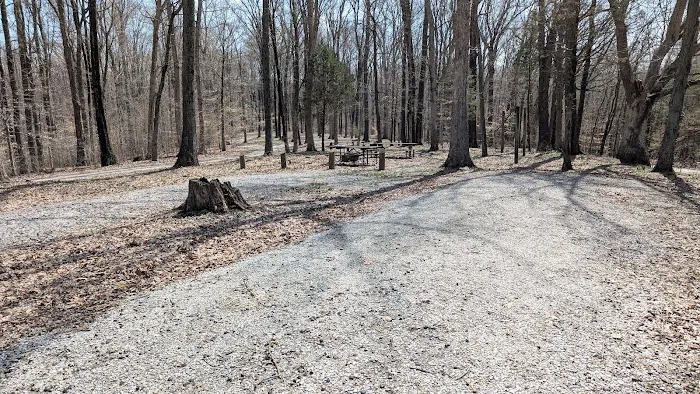 Hoosier National Forest Campground Picture 7