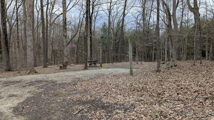 Hoosier National Forest Campground Picture 10