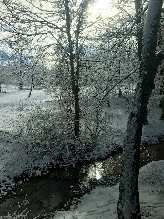 Walnut Meadow RV Park Picture 5
