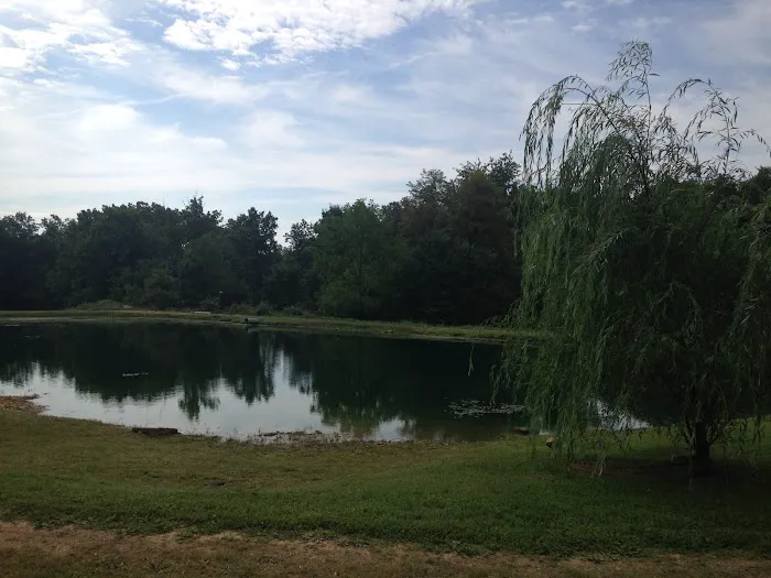 Harris Hill Campground Picture 2