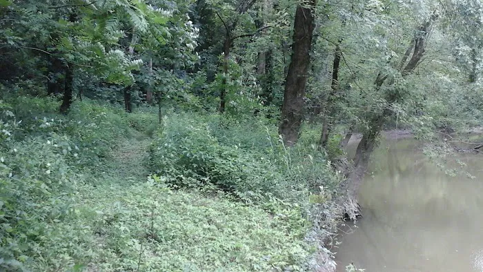 Miller's Creek Camping Area Picture 8