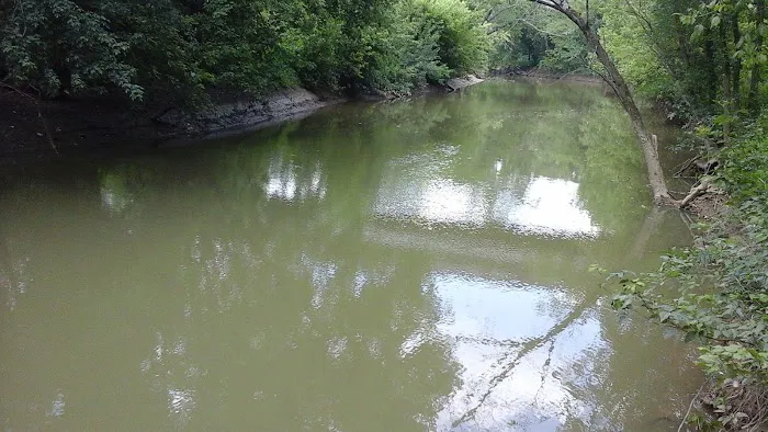 Miller's Creek Camping Area Picture 1