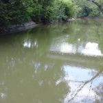 Miller's Creek Camping Area