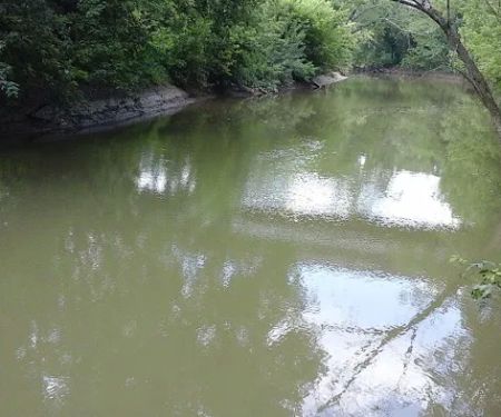 Miller's Creek Camping Area