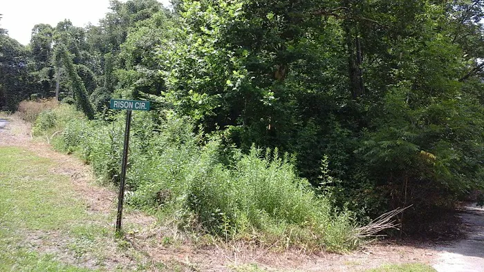 Miller's Creek Camping Area Picture 7