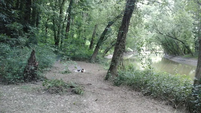 Miller's Creek Camping Area Picture 10