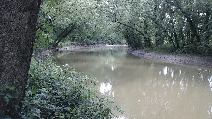 Miller's Creek Camping Area Picture 3