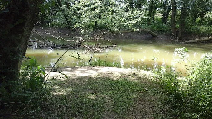 Miller's Creek Camping Area Picture 2
