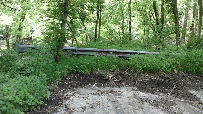 Miller's Creek Camping Area Picture 6