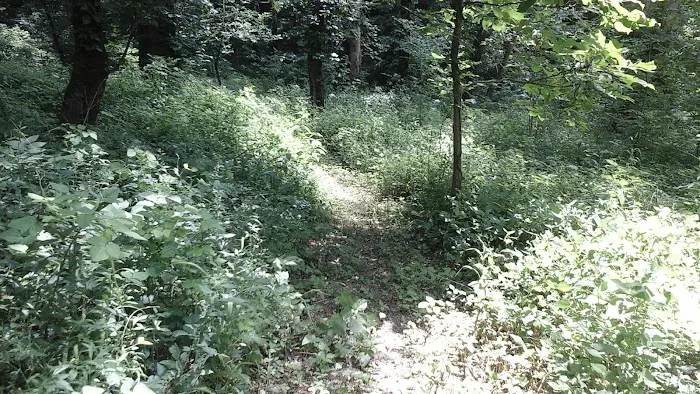 Miller's Creek Camping Area Picture 4