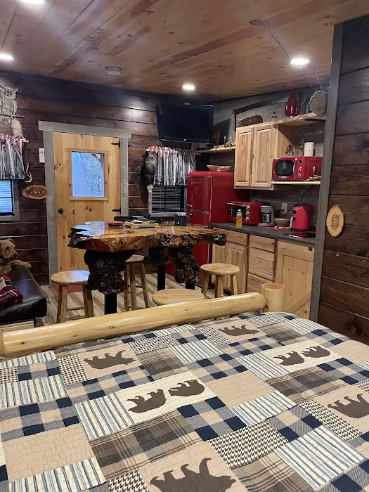 Blu Ridge Cabin Picture 3