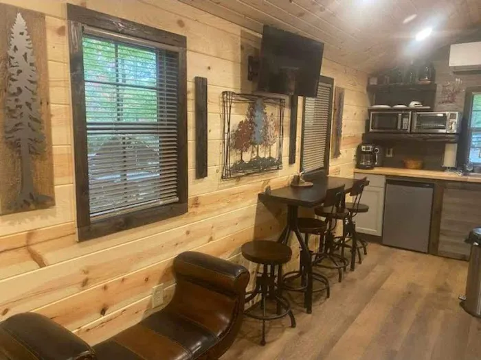 Blu Ridge Cabin Picture 5