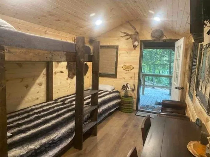Blu Ridge Cabin Picture 7