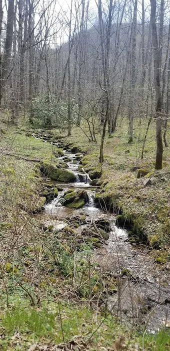 Harmon Den Horse Camp NC Picture 10