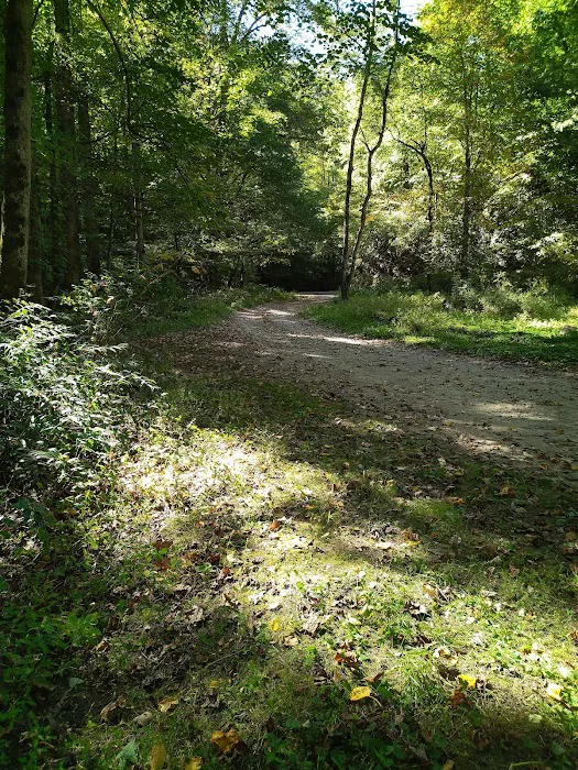 Harmon Den Horse Camp NC Picture 6