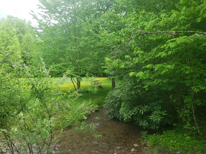 Harmon Den Horse Camp NC Picture 4