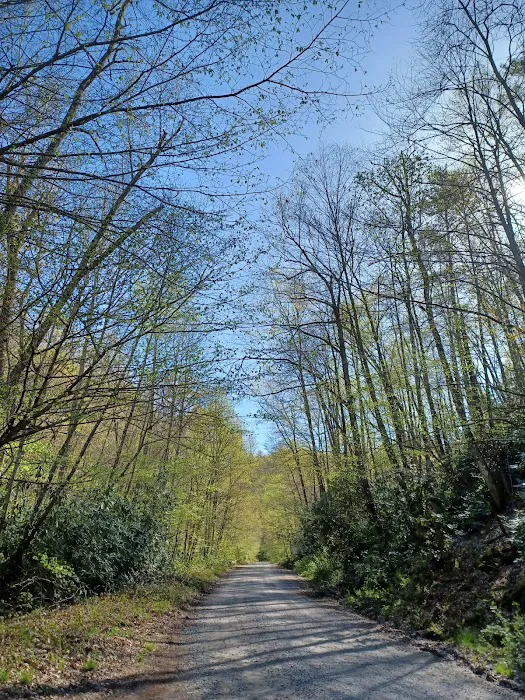 Harmon Den Horse Camp NC Picture 1