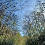 Harmon Den Horse Camp NC